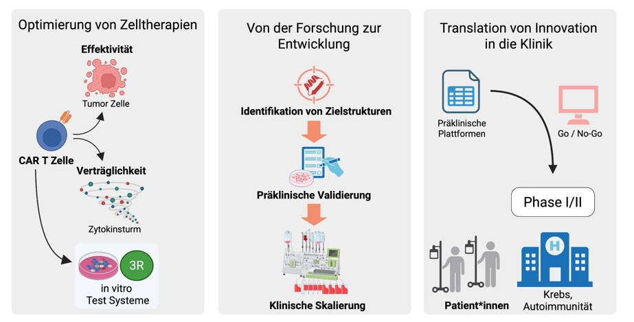 Grafik Zellthema
